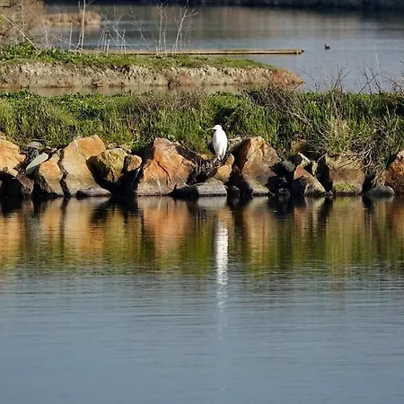 Ferienhaus Entre Coeur De Et Plage, Maison Pour 6